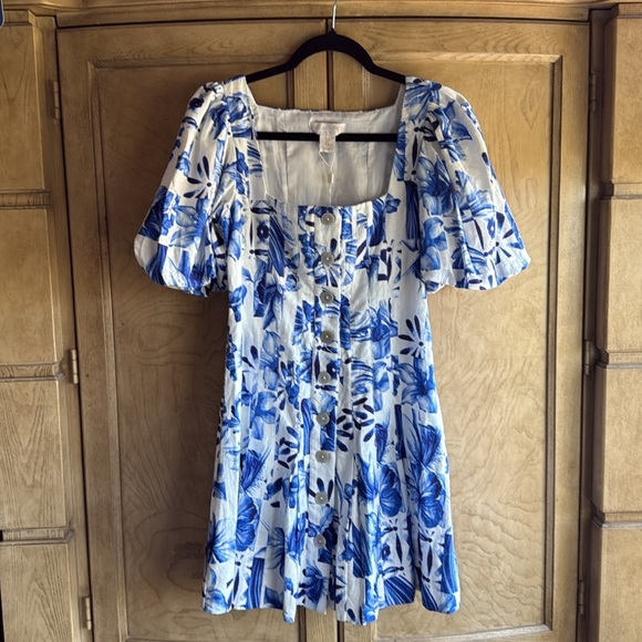 Caroline Constas 🔥 ☀️ Floral Blue and White line mini dress A line. - Picture 8 of 13